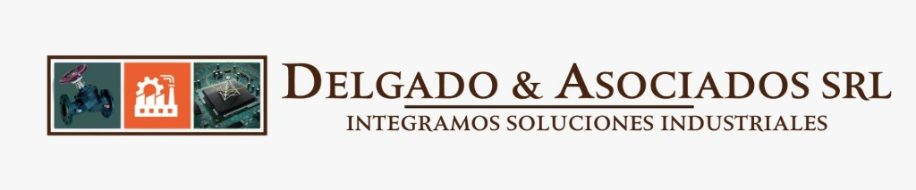 Delgado y Asociados SRL